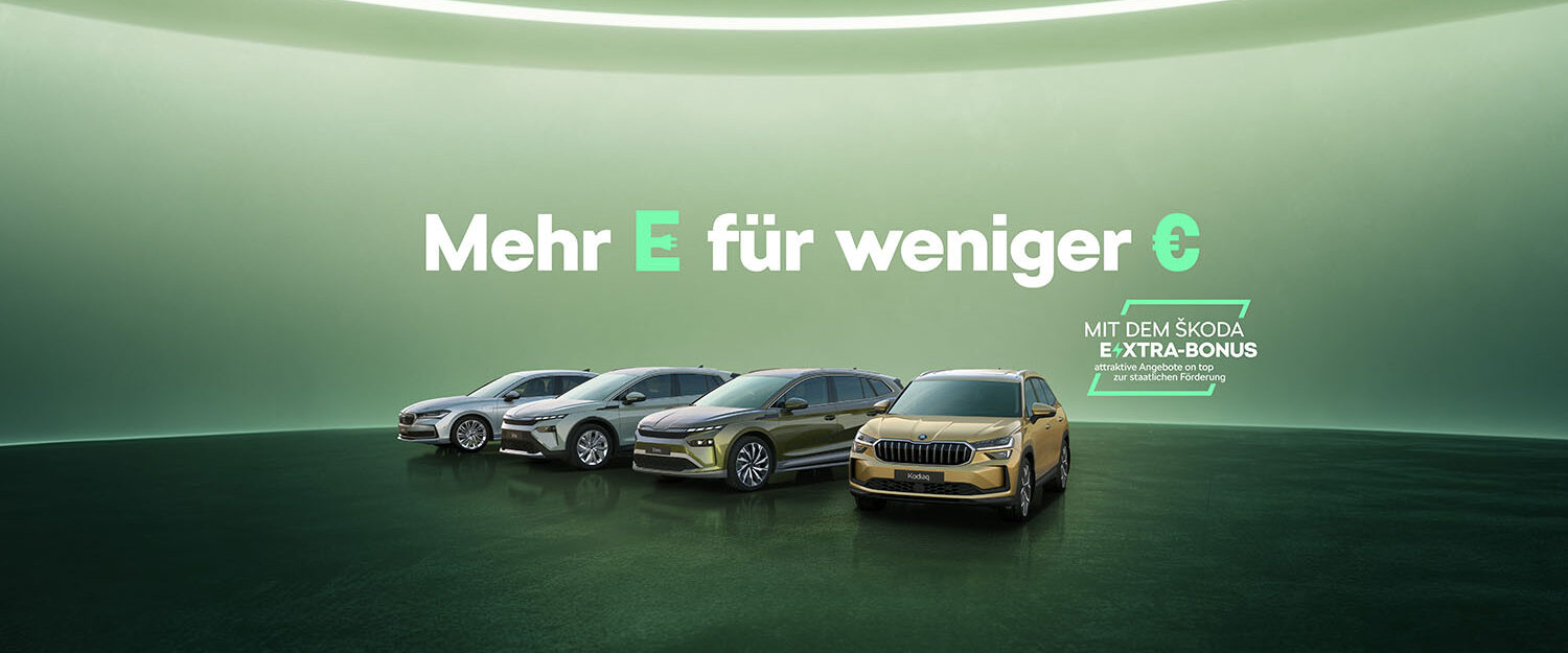 Elektromobilität FAQ