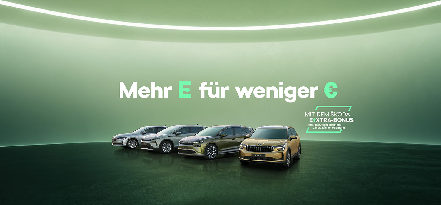 Elektromobilität FAQ
